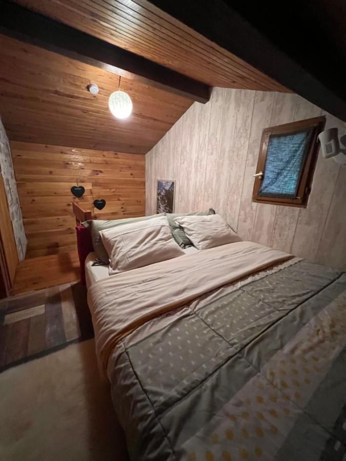 Cabane Dans Les Bois Avec Vue Sur Les Pyrenees Saint-Laurent-de-Neste Exteriér fotografie
