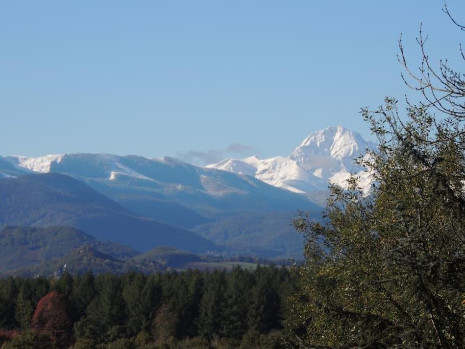 Cabane Dans Les Bois Avec Vue Sur Les Pyrenees Saint-Laurent-de-Neste Exteriér fotografie