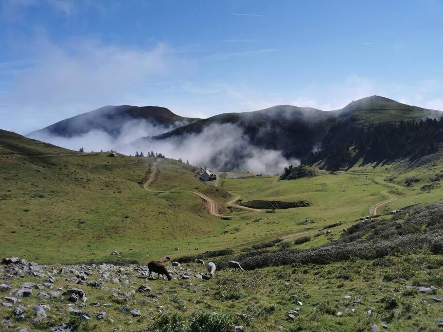 Cabane Dans Les Bois Avec Vue Sur Les Pyrenees Saint-Laurent-de-Neste Exteriér fotografie